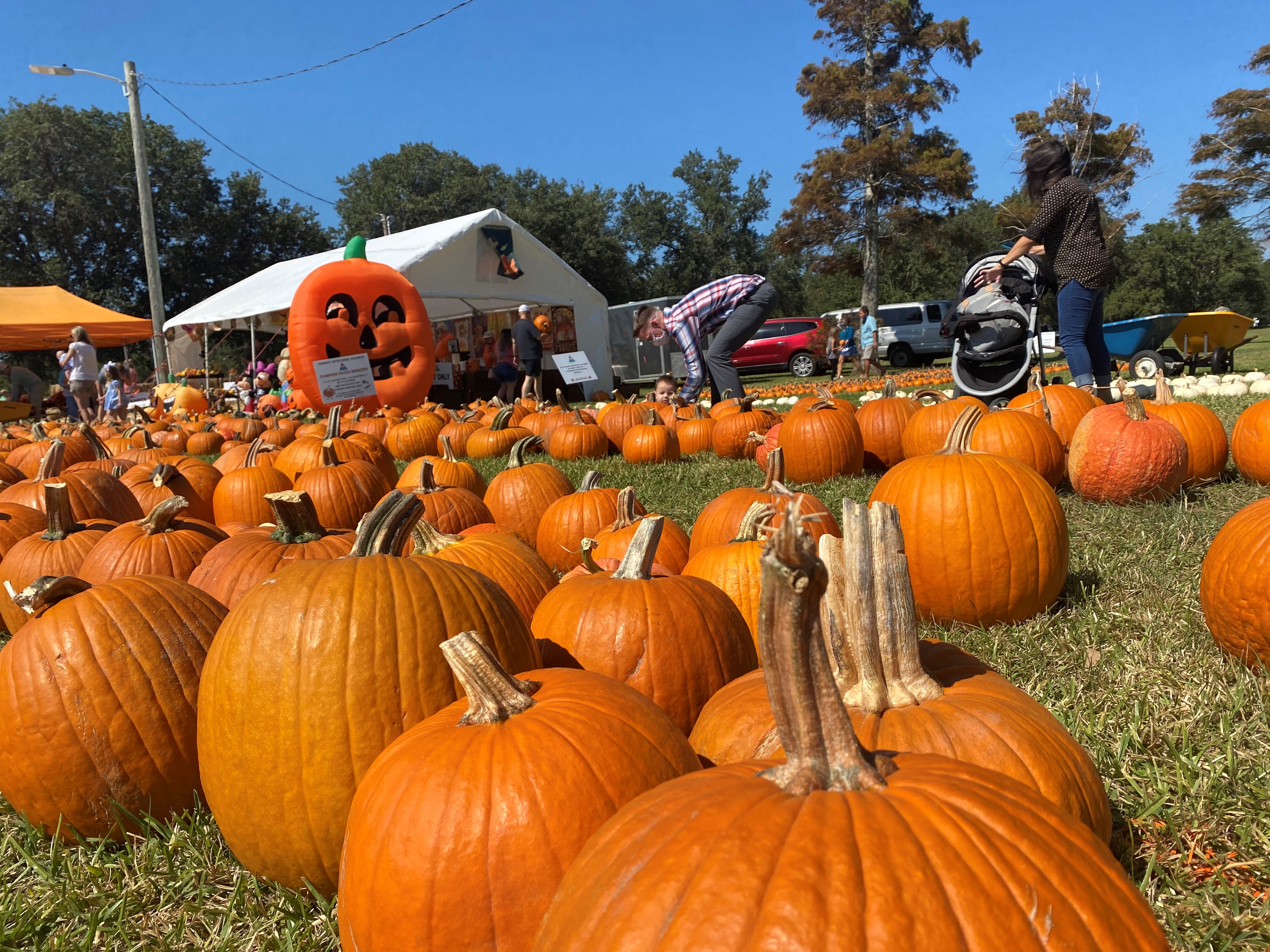 pumpkin patch near gulfport ms