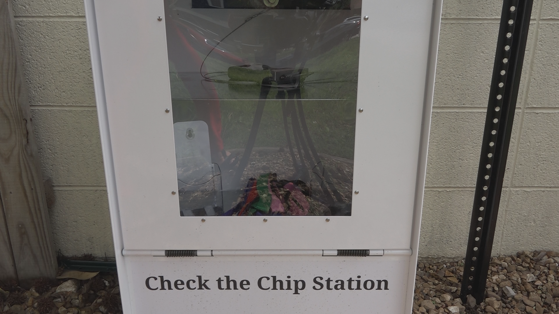 Leigh's Lost and Found Digital Extra: Update on new microchip