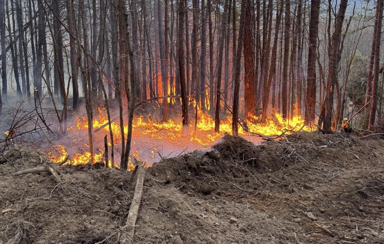 5DGKFRM4HBFRLHVE5J5L2VYD2Q.jpg