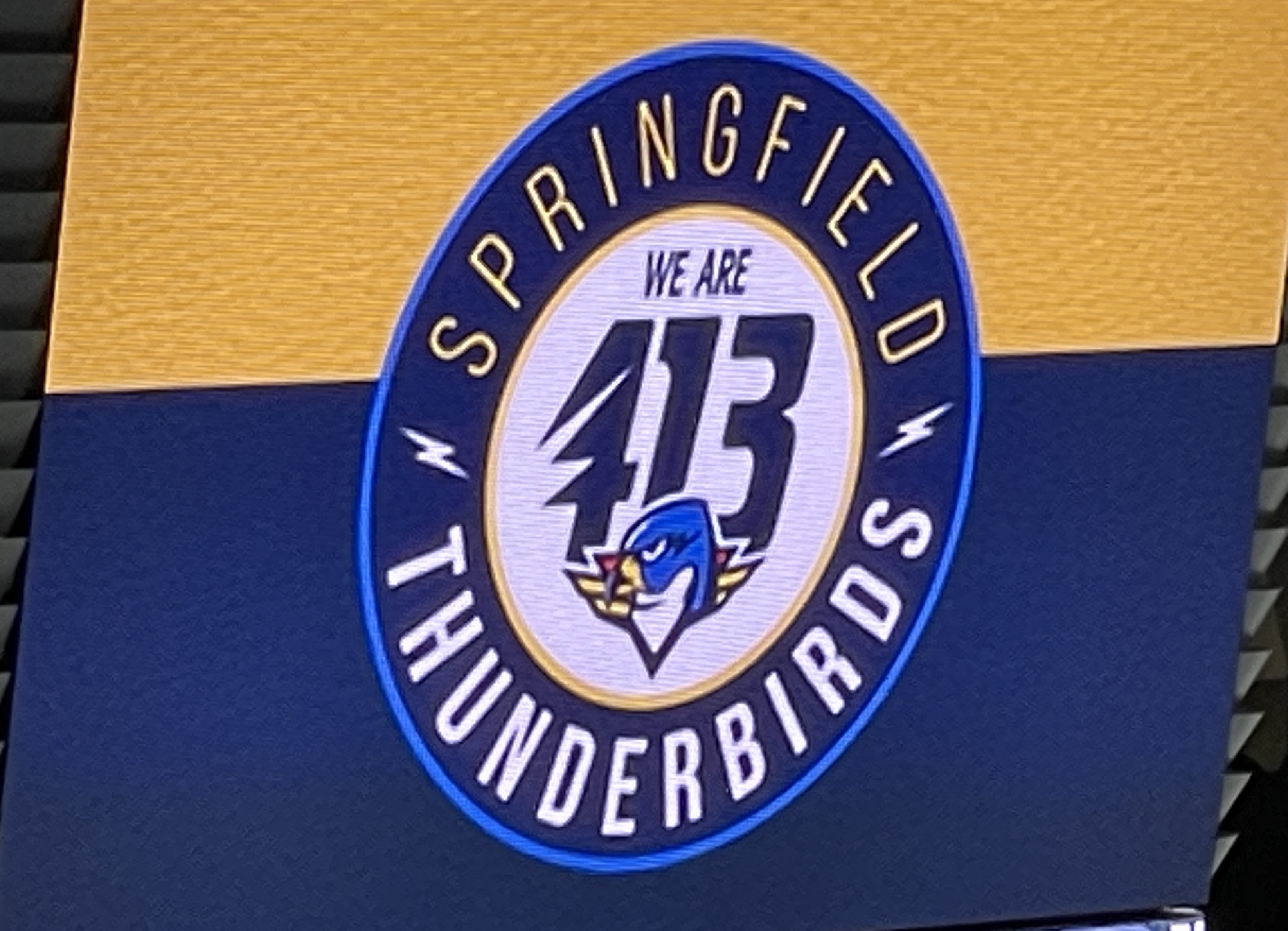 Thunderbirds' single-game ticket on sale