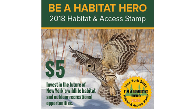 New York habitat stamps support wildlife fishing projects