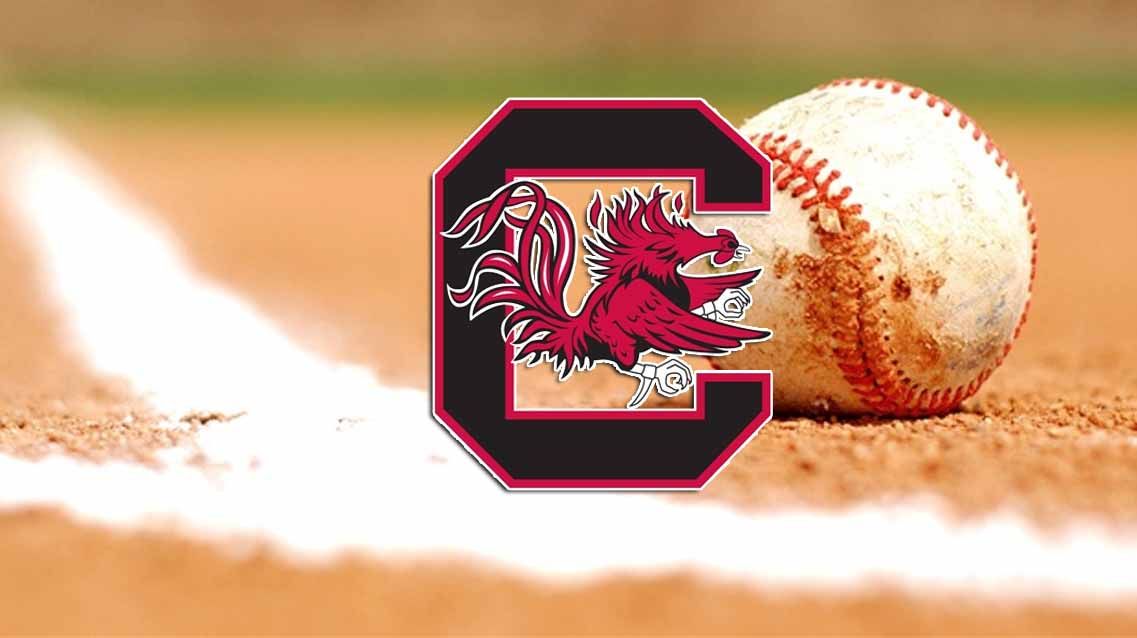 Baseball Falls to Vanderbilt on Saturday Afternoon – University of South  Carolina Athletics