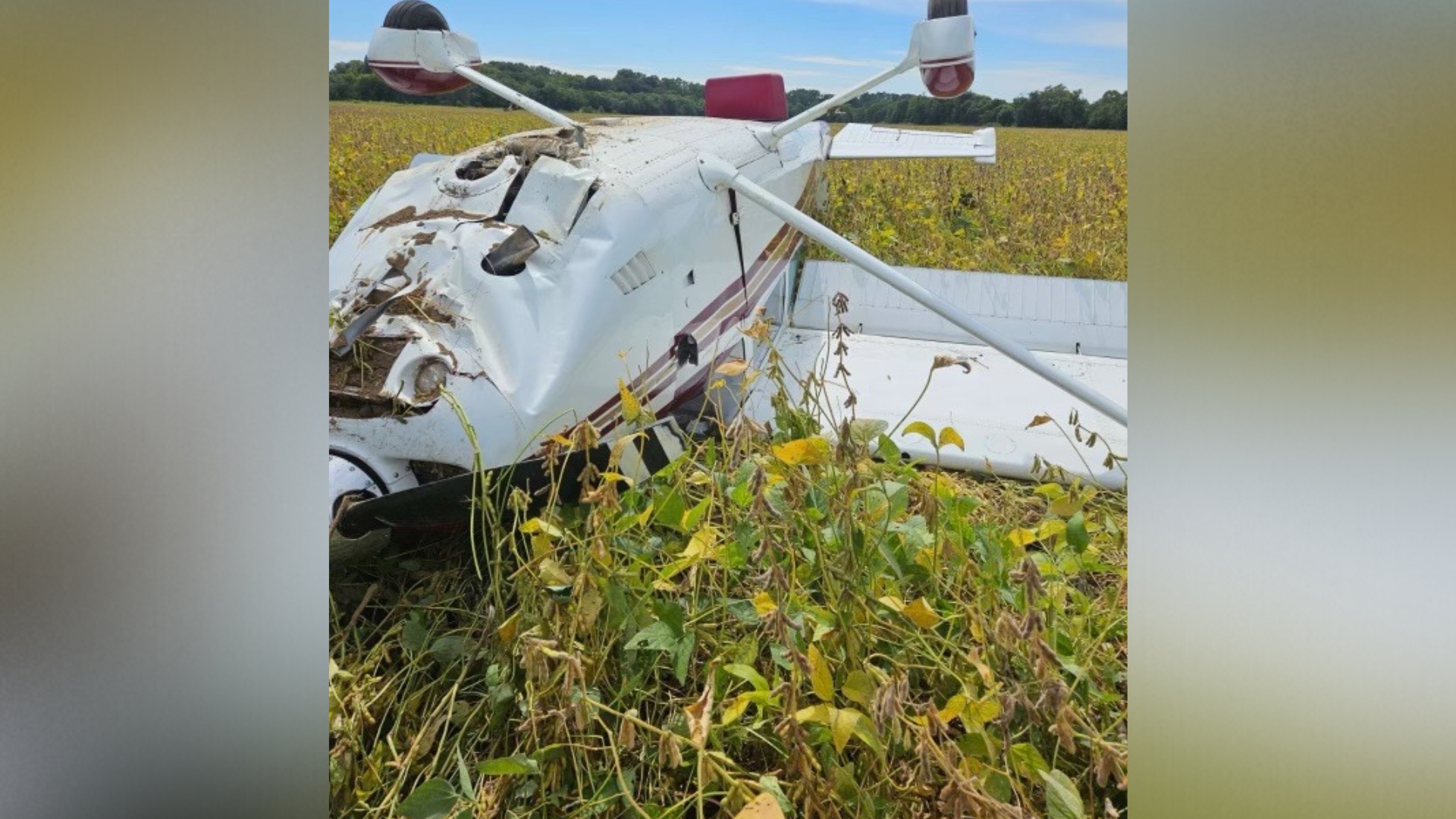 Small plane crashes in Giles County