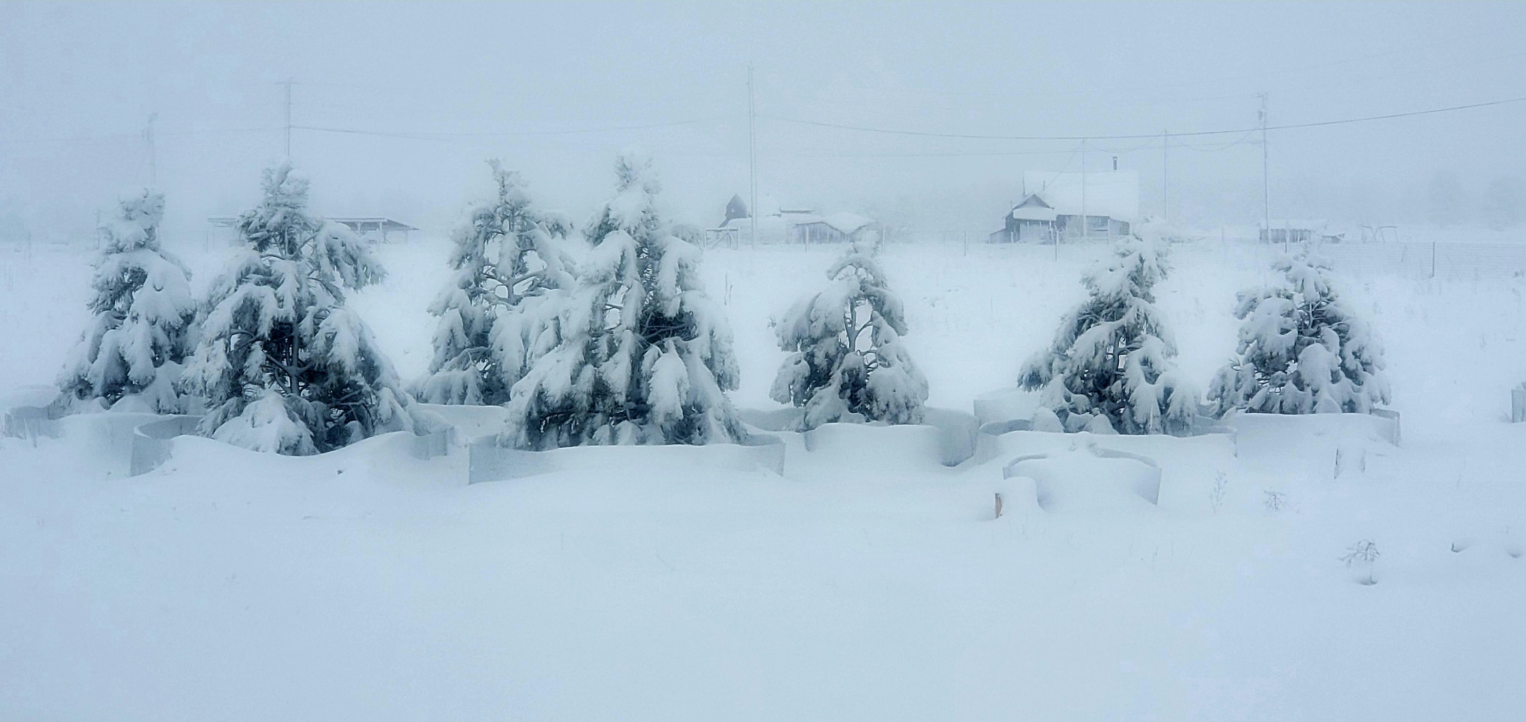 PHOTO GALLERY: Heavy snow falls in Arizona's High Country