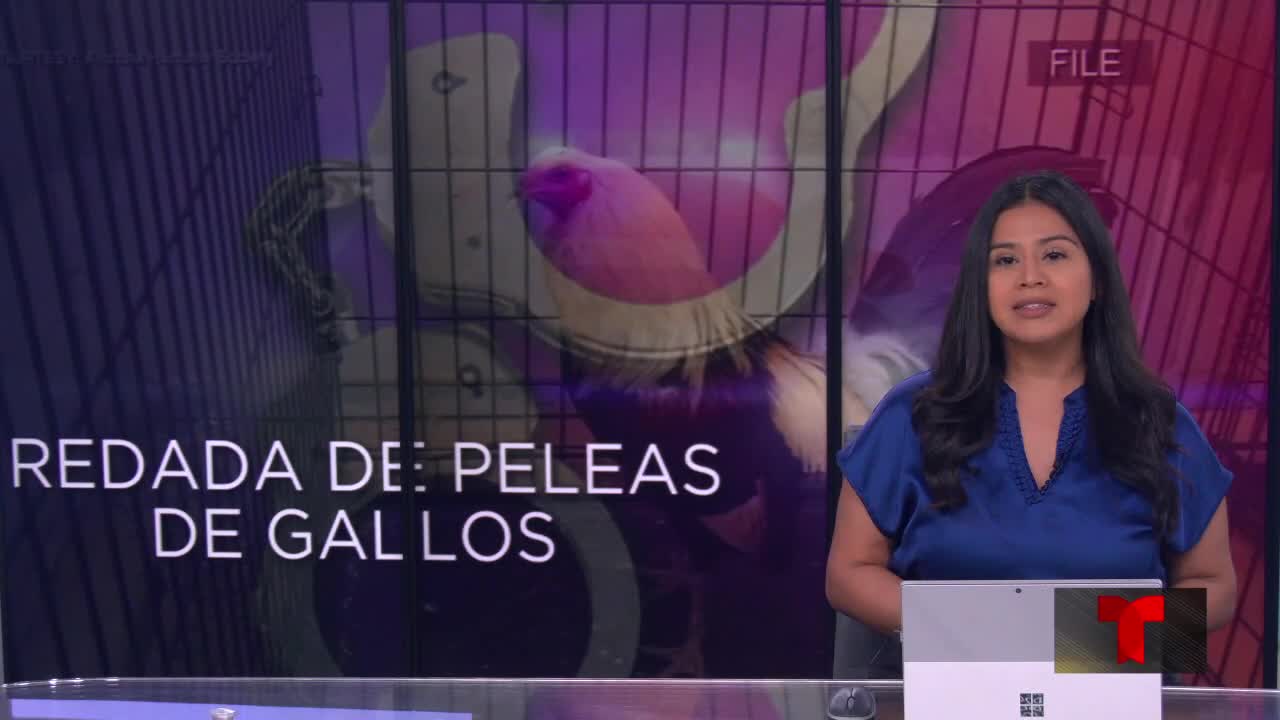 Concientizan sobre el tráfico de humanos ante incremento de casos en Laredo – telemundolaredo.tv