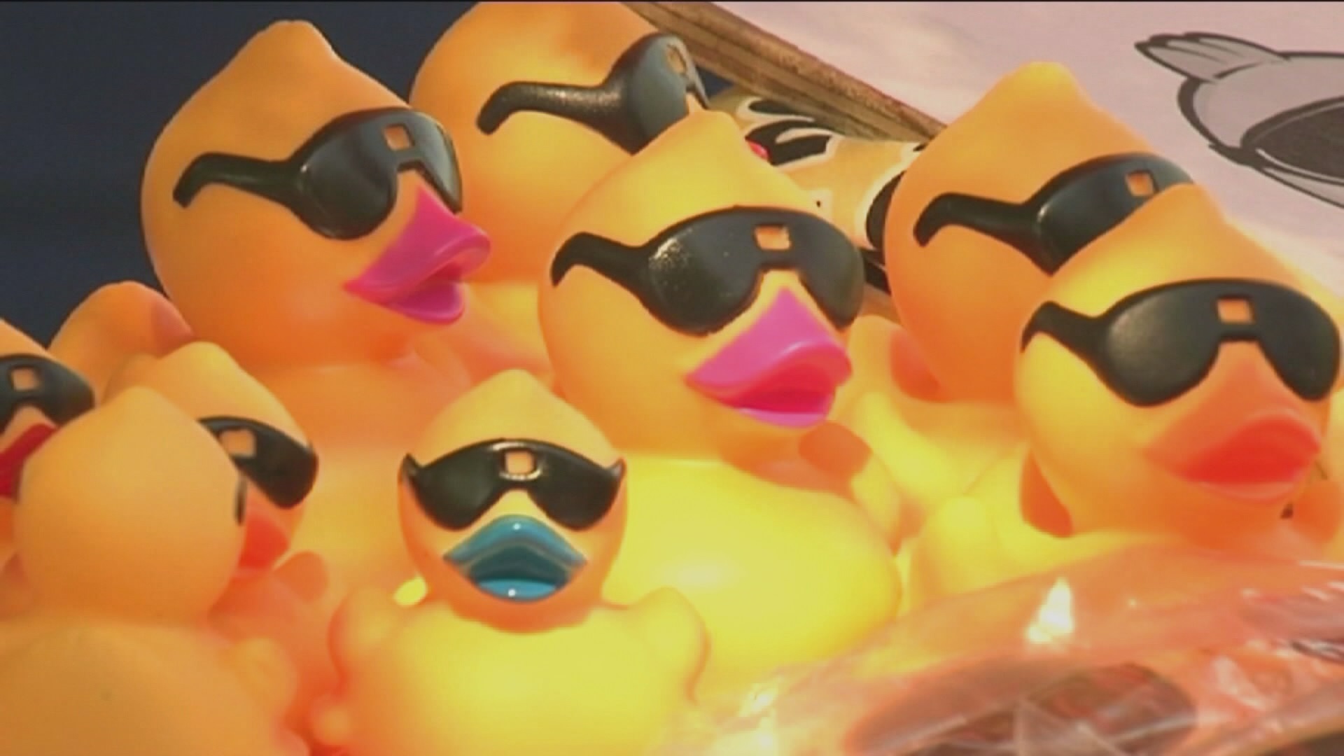 10000 rubber ducks
