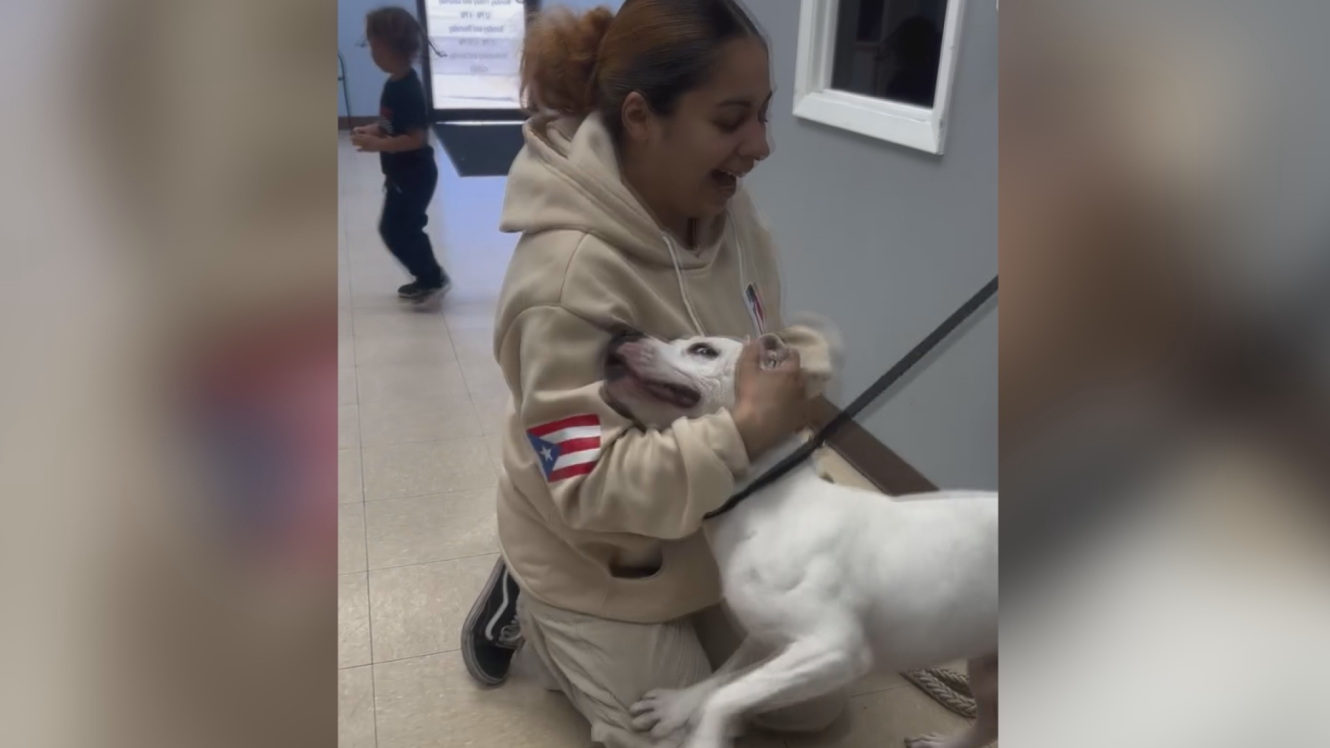 Killeen family reunited with lost dog after 2 years thanks to