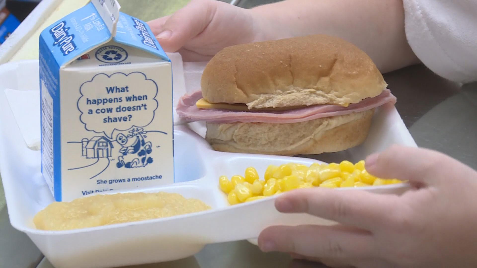 usda healthy school lunches