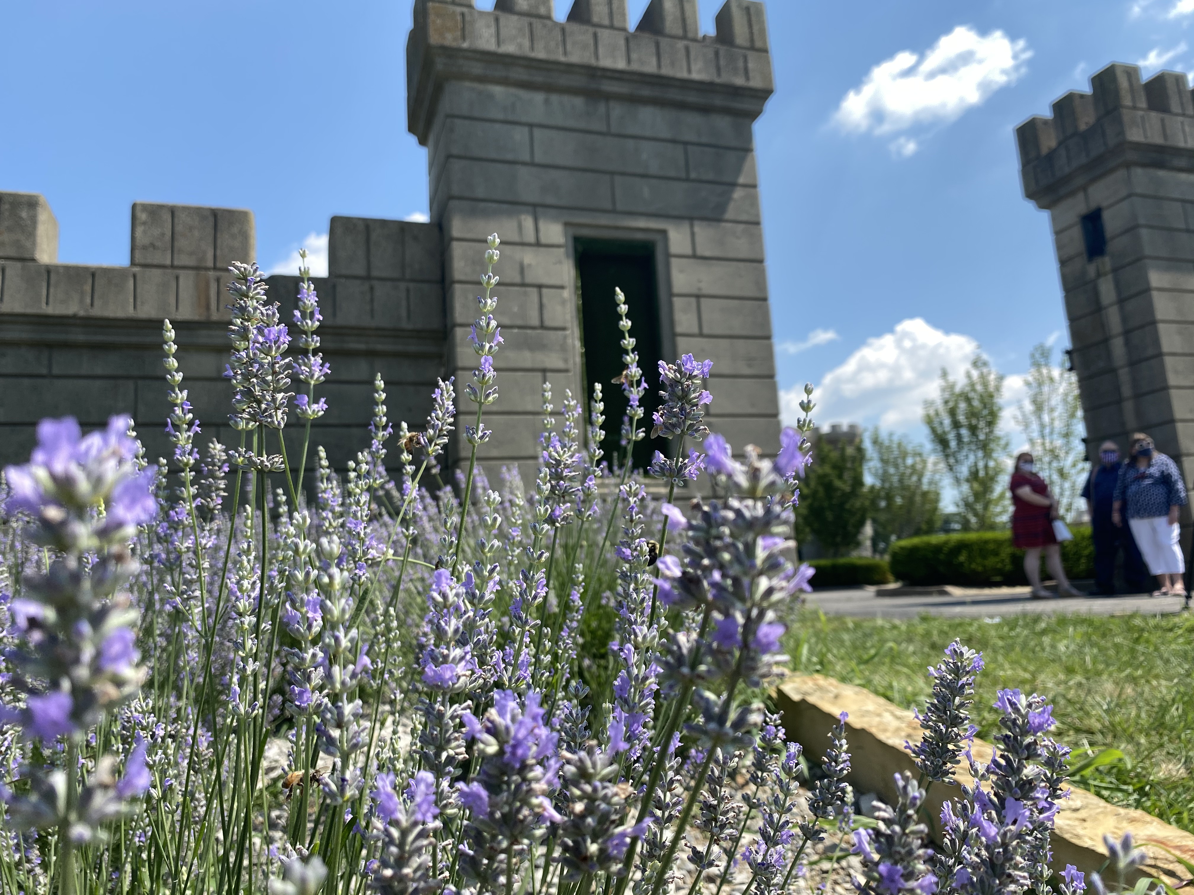 Lavender Field Draws People To The Kentucky Castle