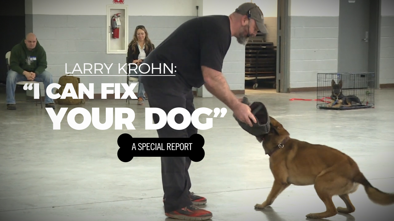 Larry krohn hot sale dog trainer