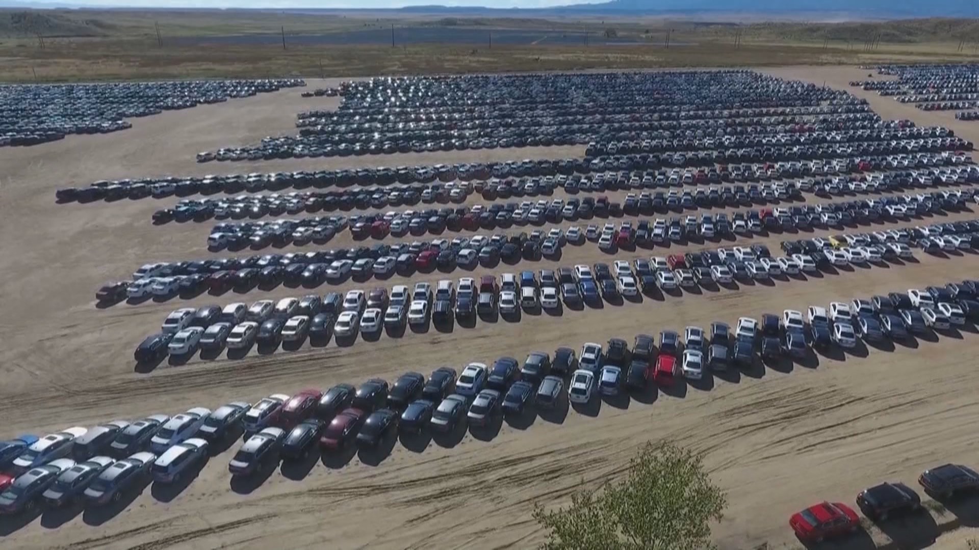 1920px x 1080px - VW cars parked south of Colorado Springs moved out, ready for resale