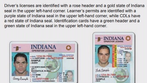 Drivers license check indiana - clipmopla