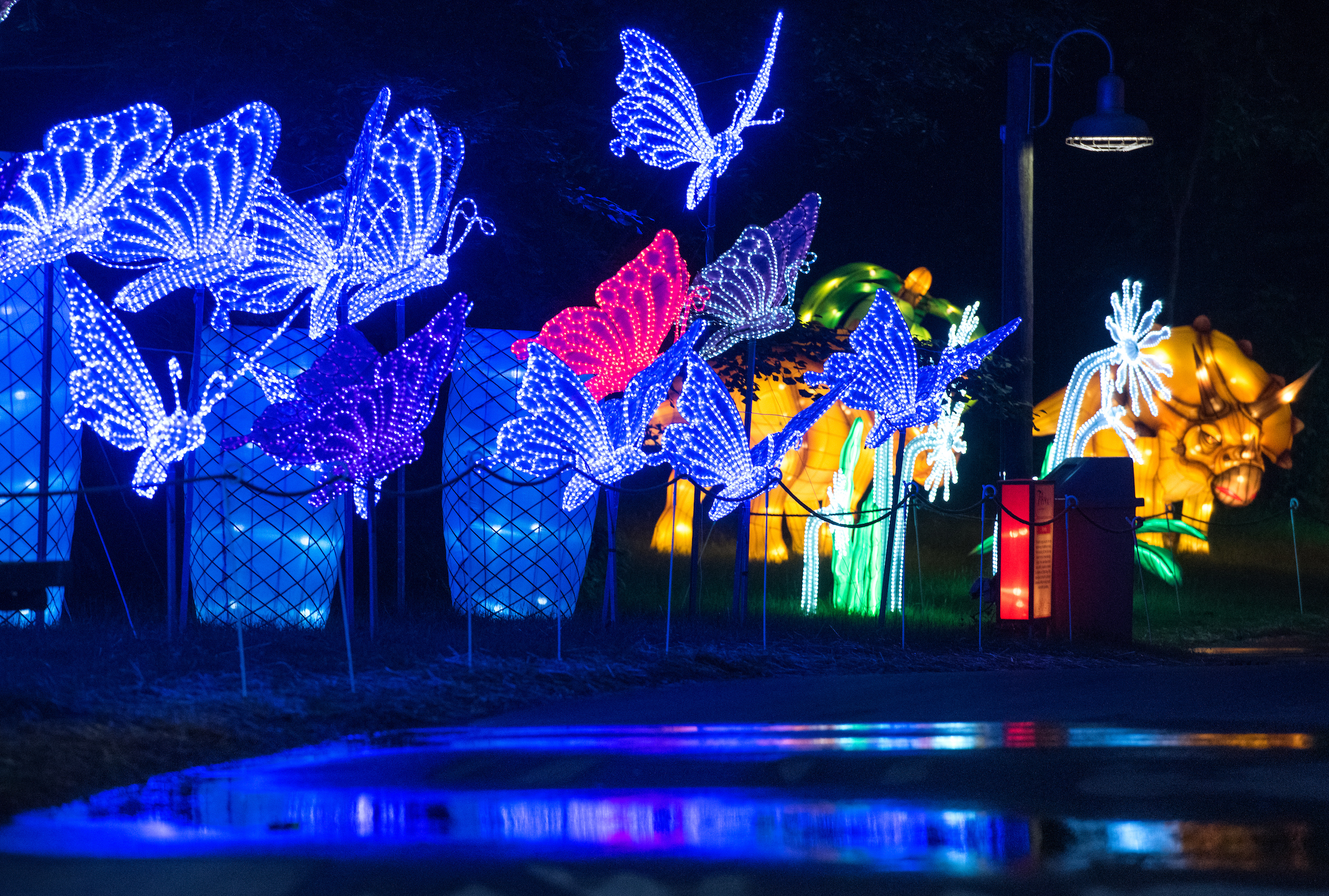 Lantern deals festival ohio