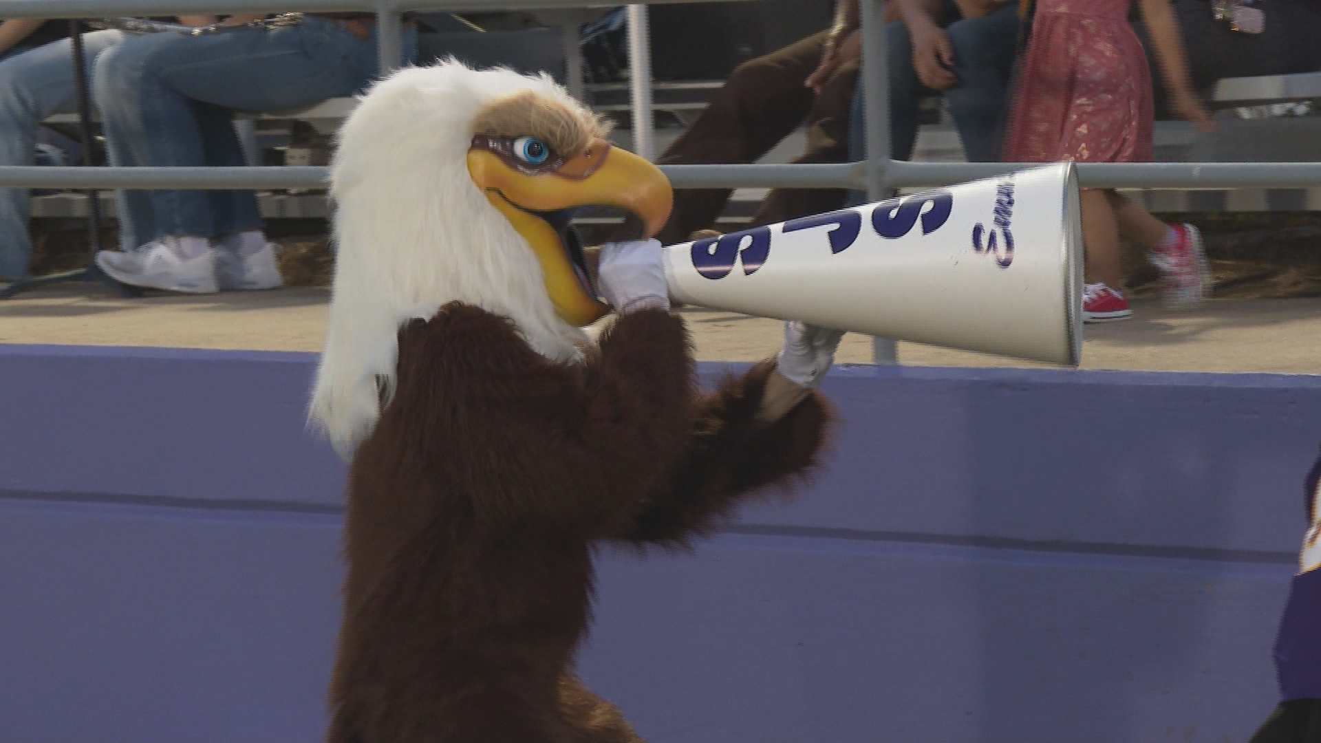 WASHINGTON, DC - APRIL 29: The Nationals bald eagle Mascot