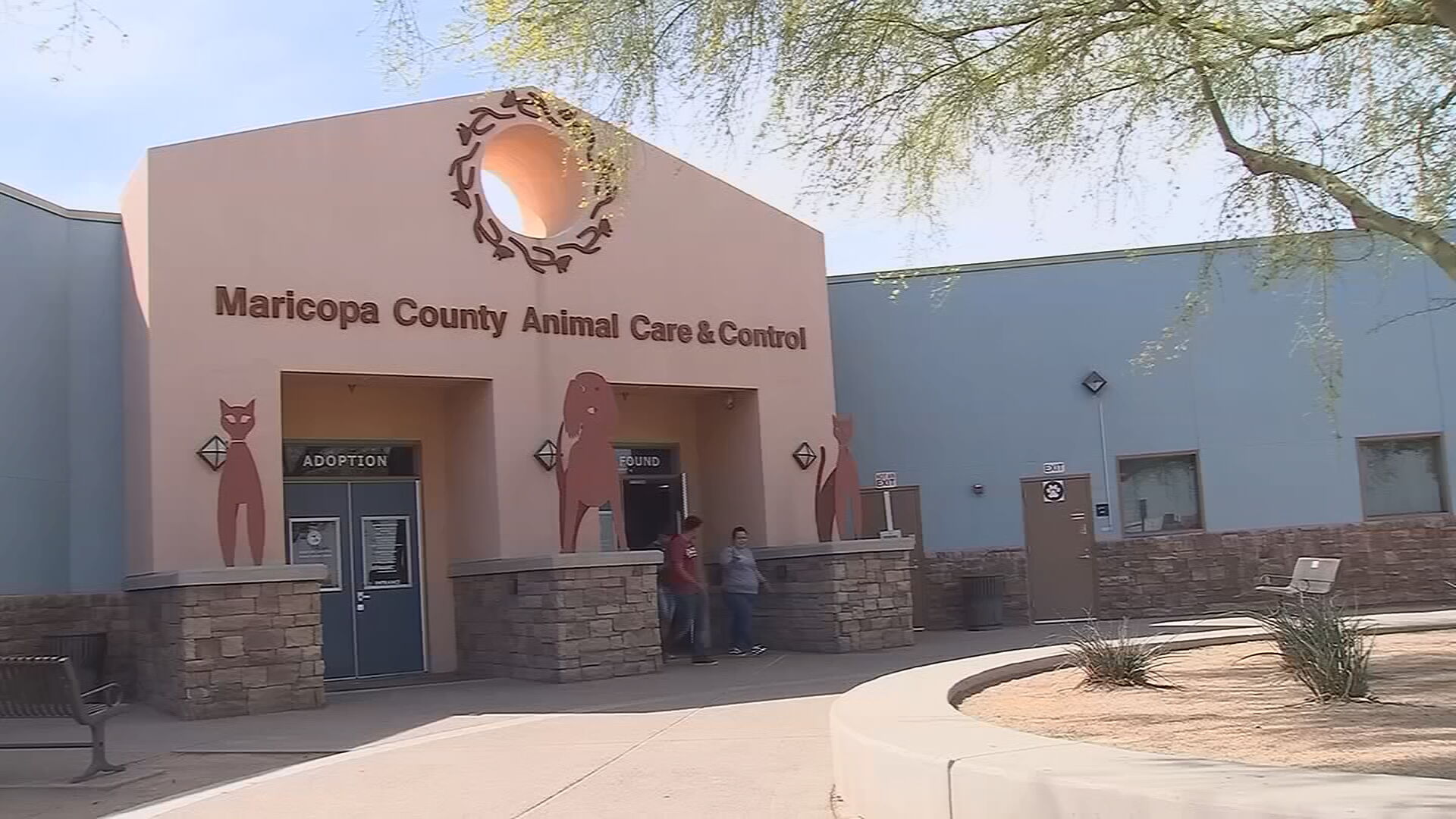 Maricopa County animal shelter reopens after outbreak, kicks off 'Empty the  Shelters' adoption drive