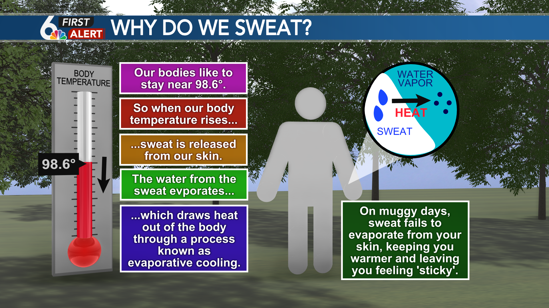 Heat index: Why humidity makes it feel hotter than the actual air