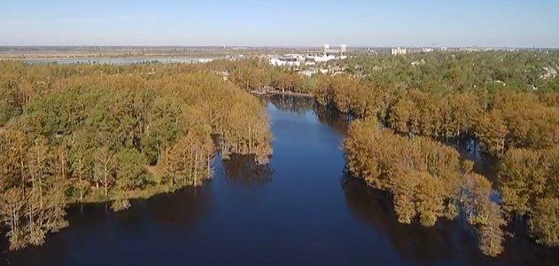 Wilmington plumber helps Leland resident battling water contamination issues – WECT