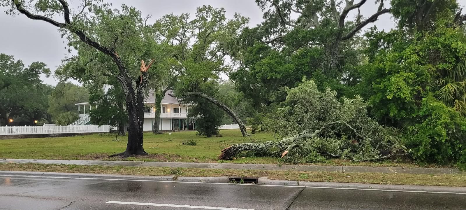 Storm damage near Highway 90 & Oak Ave. at Centennial Plaza