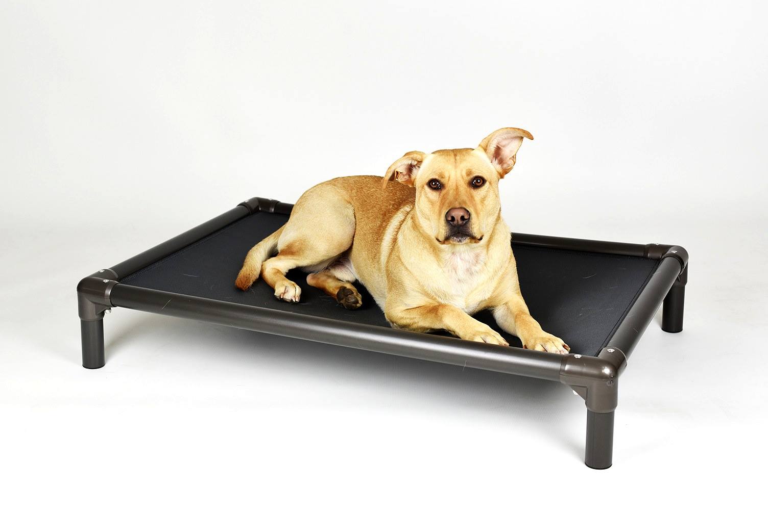 Outdoor Dog Beds  Kuranda Dog Beds®