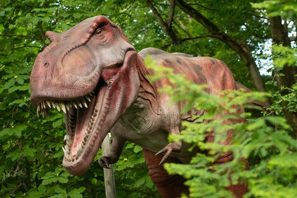 Dinosaurs Around The World Coming To The Cleveland Metroparks Zoo