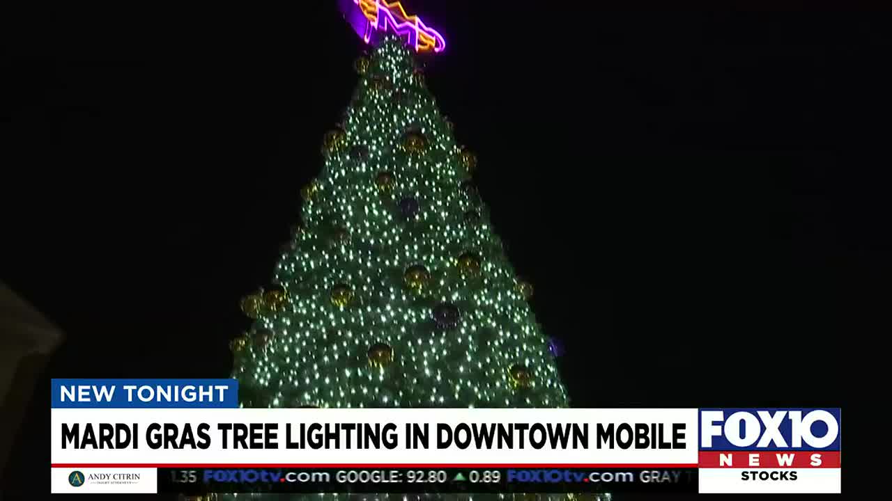 Mardi Gras lovers brave the cold for annual Mardi Gras tree lighting  downtown