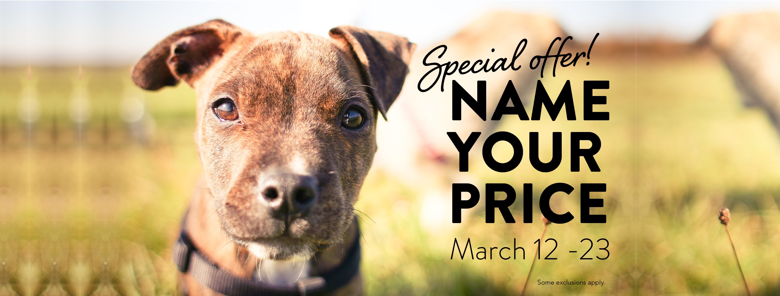 Huntsville Animal Shelter hosts 'Name Your Price Pet Adoptions'
