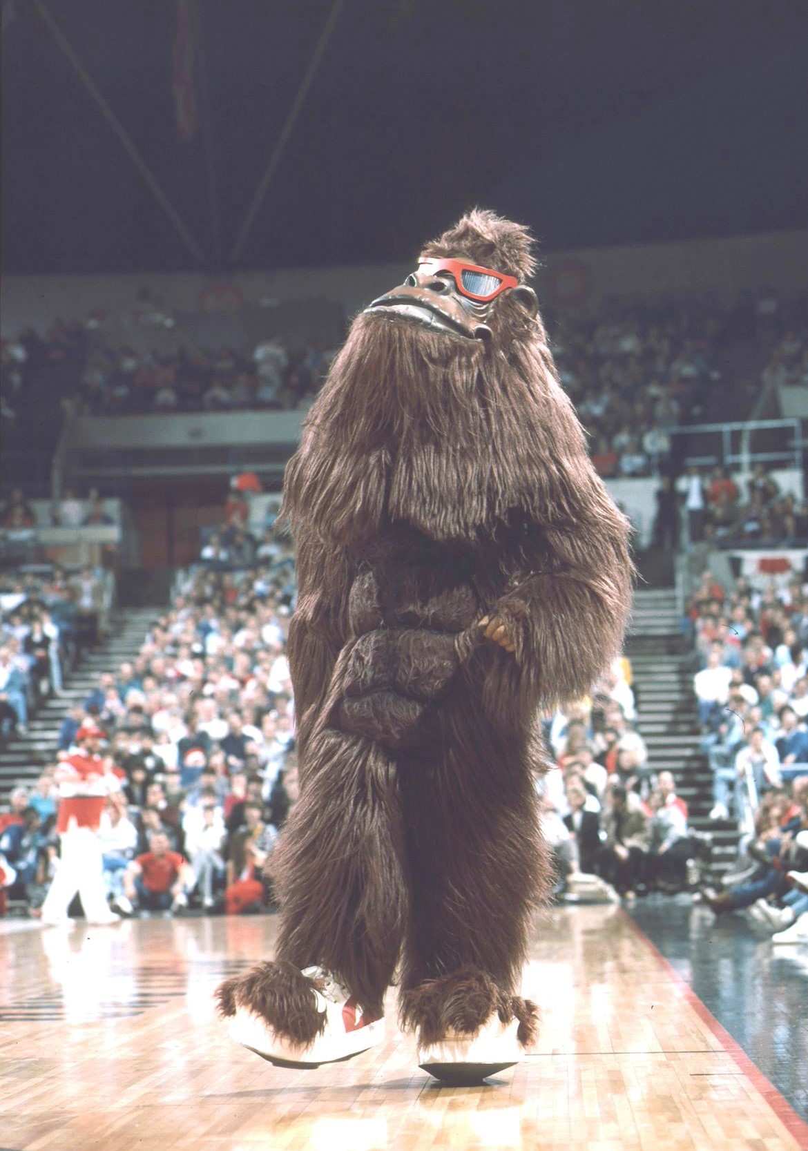 Trail Blazers unveil new Bigfoot mascot Douglas Fur