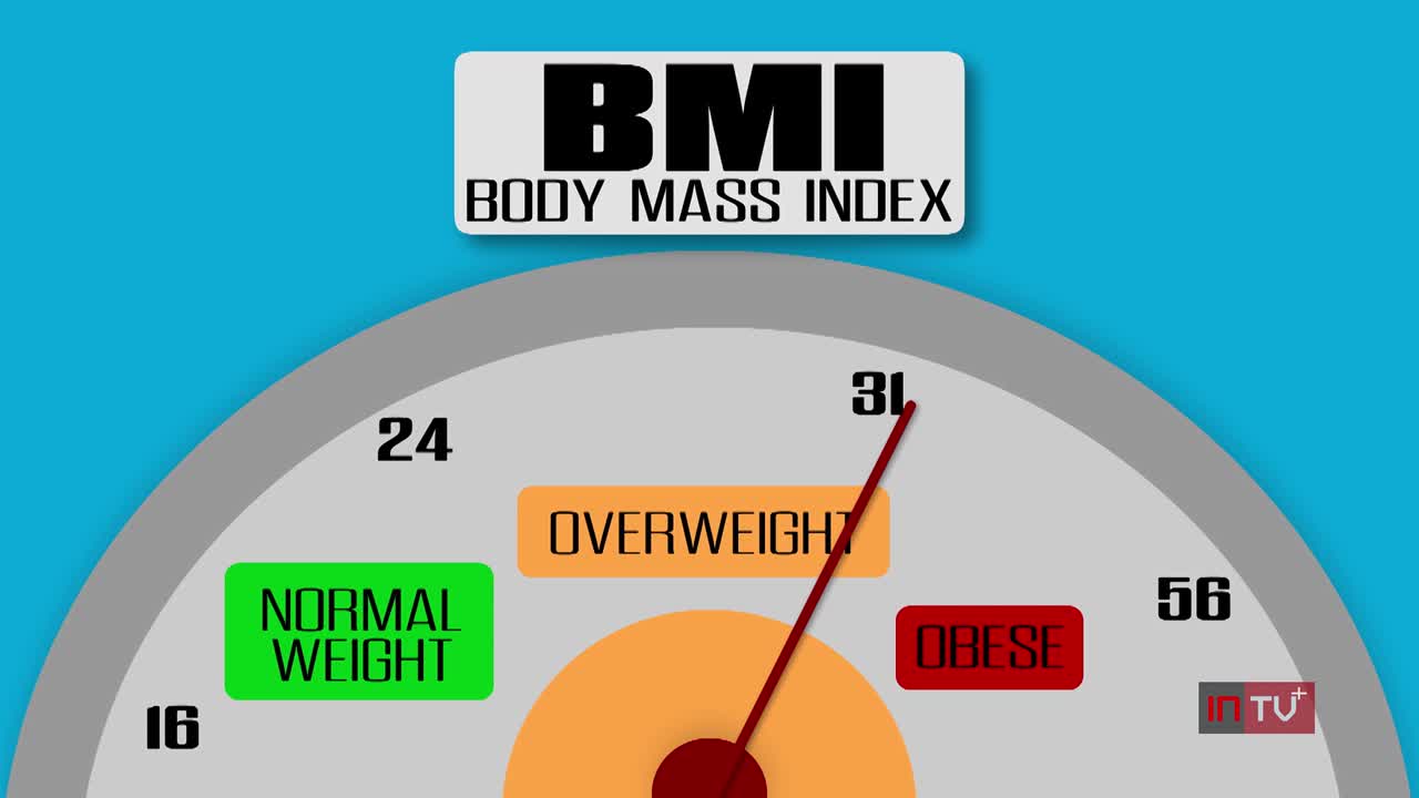 What Is Body Mass Index (BMI) and What Does It Measure?