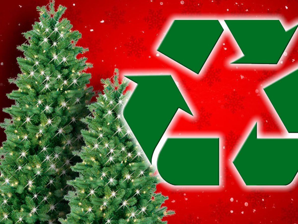 Recycling Christmas Trees Near Me 