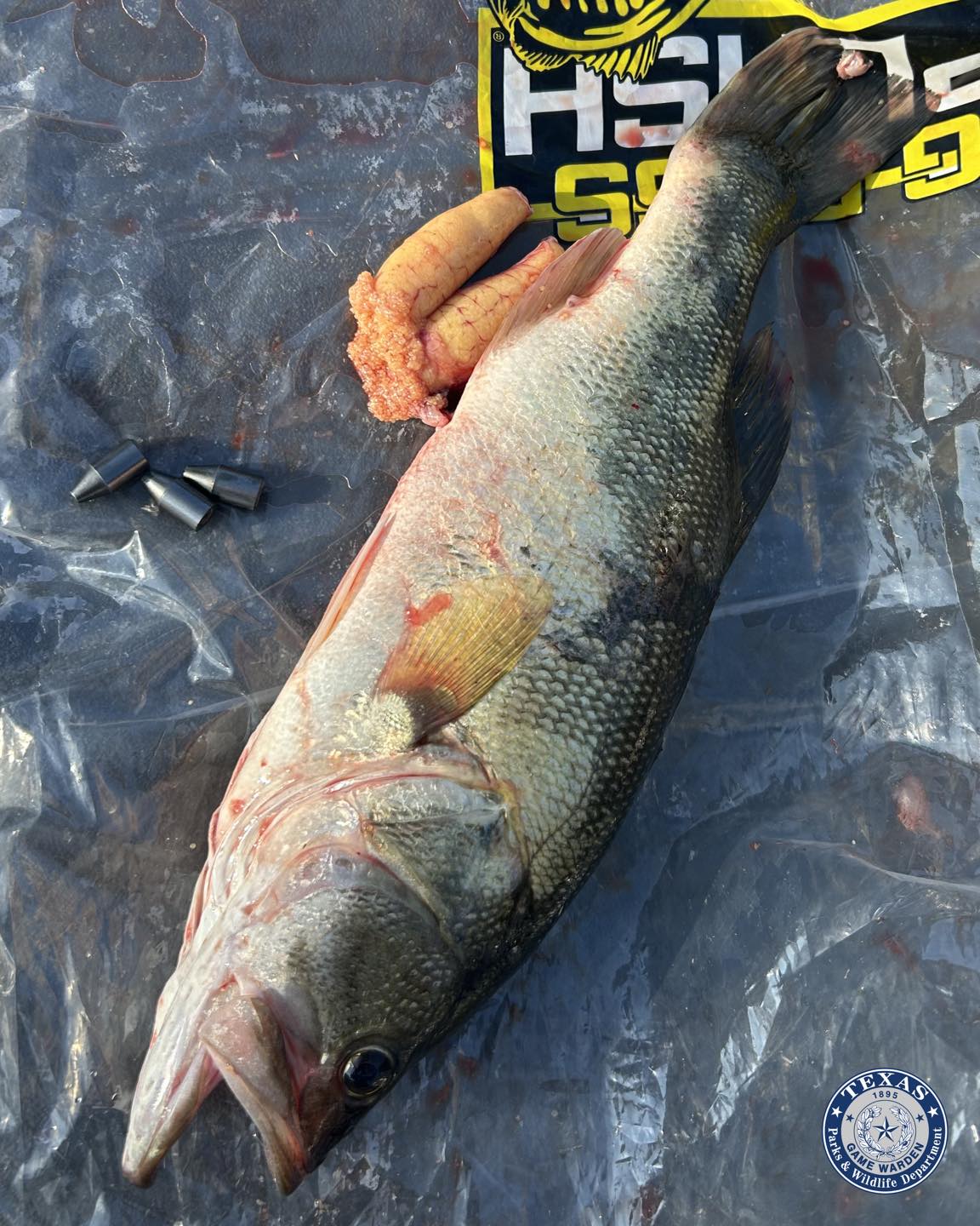best rod and reel for red salmon fishing Length, Power, Action!  Salmon & Steelhead Journal