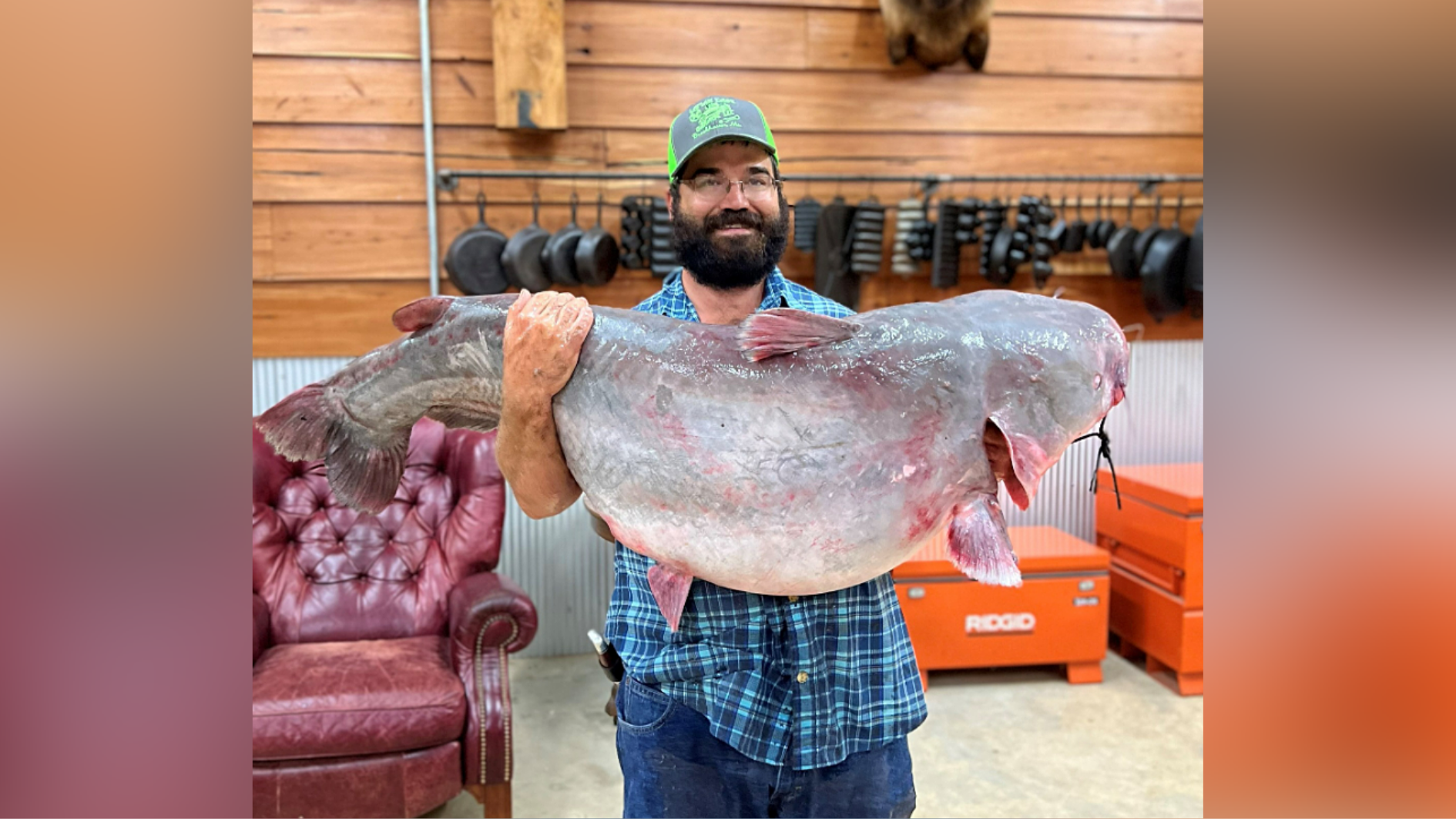 Massive catch! Man sets state record with 104-pound catfish