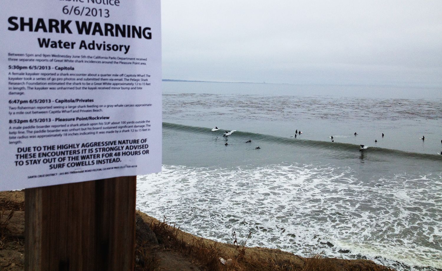 Fake shark warning signs posted at popular California surf spot