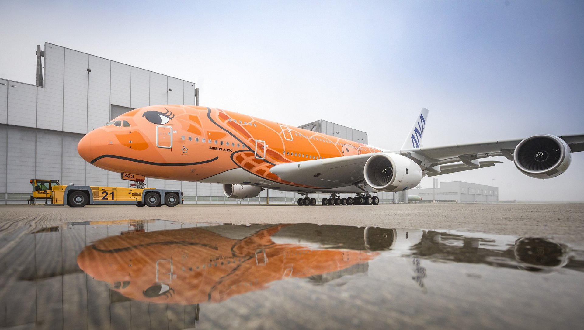 Orange 'flying honu' will soon appear in Hawaii's skies