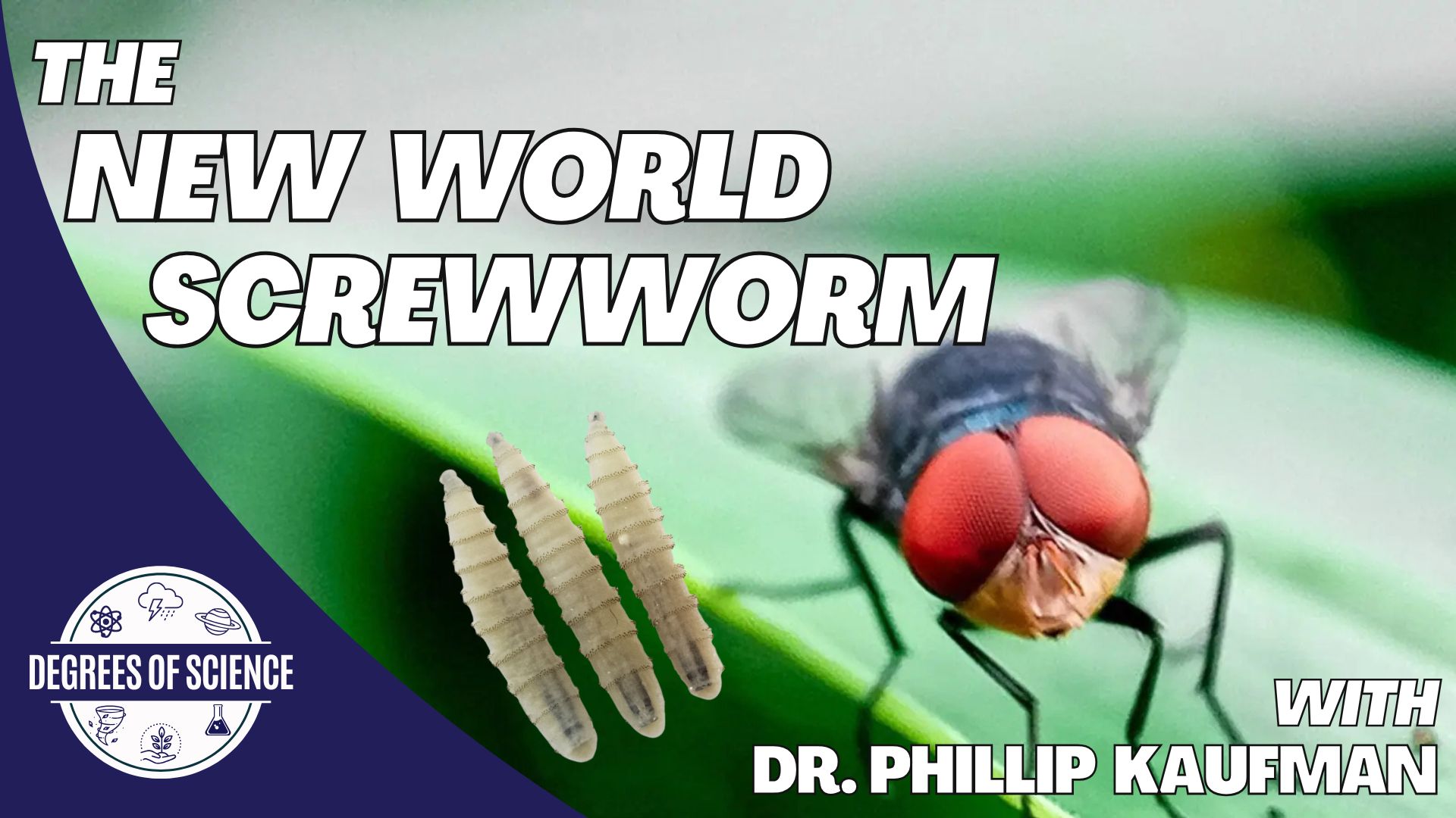 Degrees of Science: New World Screwworm