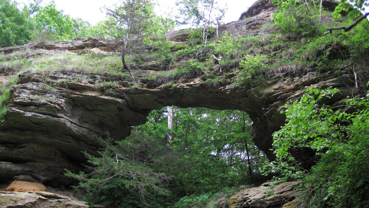 are dogs allowed at natural bridge state park wi