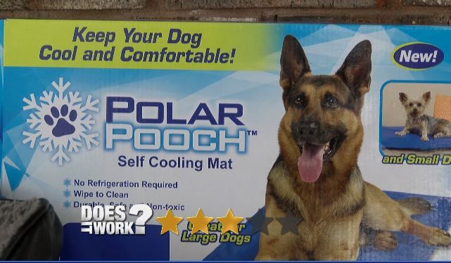 Does It Work: Polar Pooch