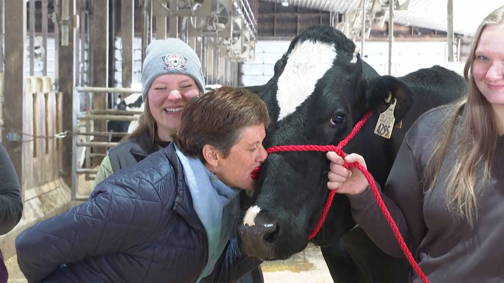 Kiss the cow' caps homeless prevention fundraiser in North Country
