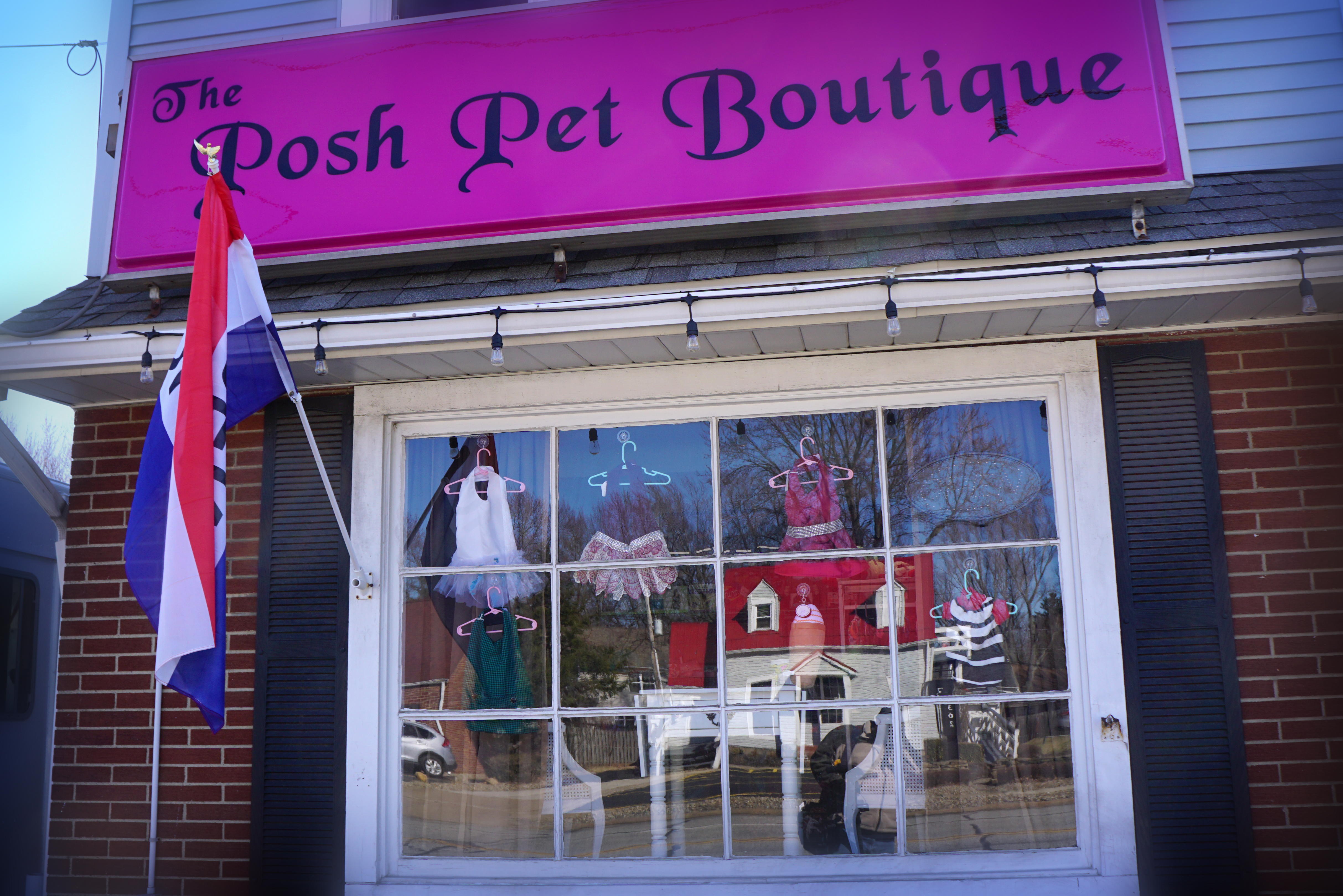 Mentor business takes your dress and repurposes it for your dog