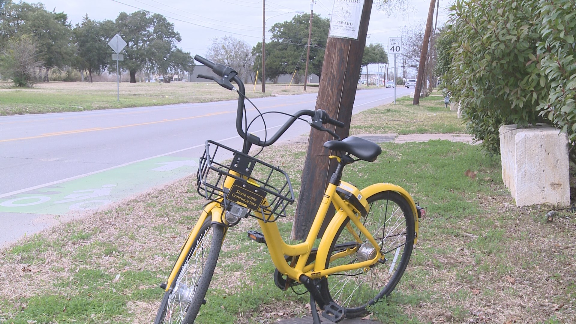 ofo tamu