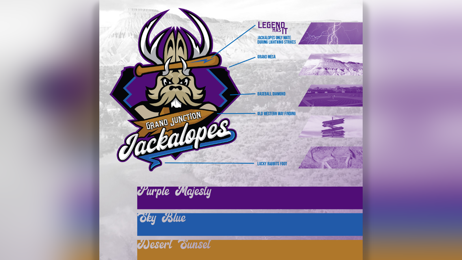 The Grand Junction Rockies' work with the Challenger Baseball League, in  pictures - Purple Row