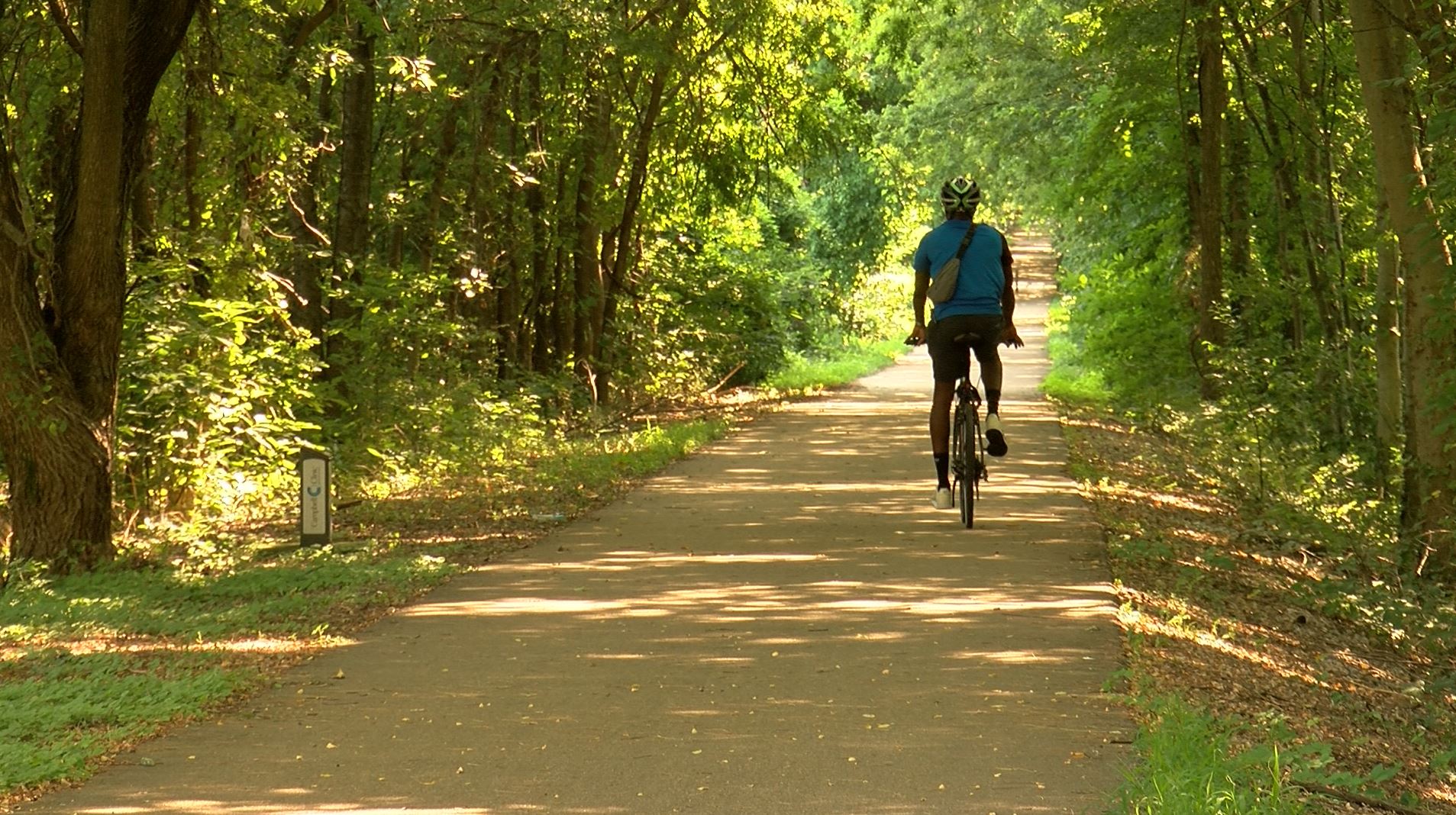 Shelby farms best sale mountain bike trails