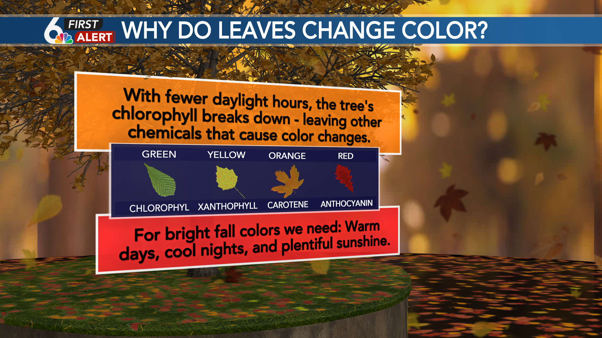 Why Do Leaves Change Colors in the Fall?
