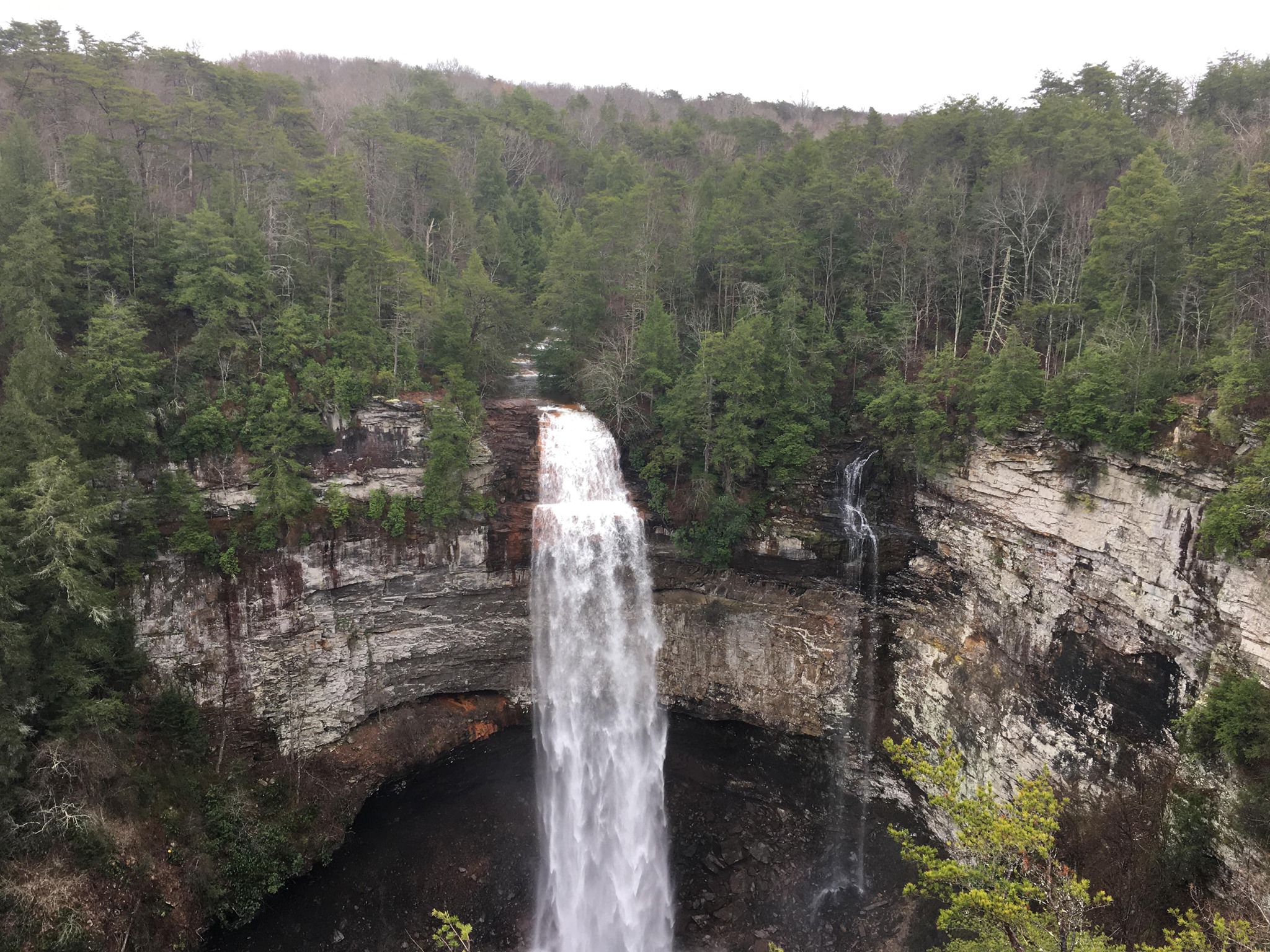 are dogs allowed at fall creek falls state park