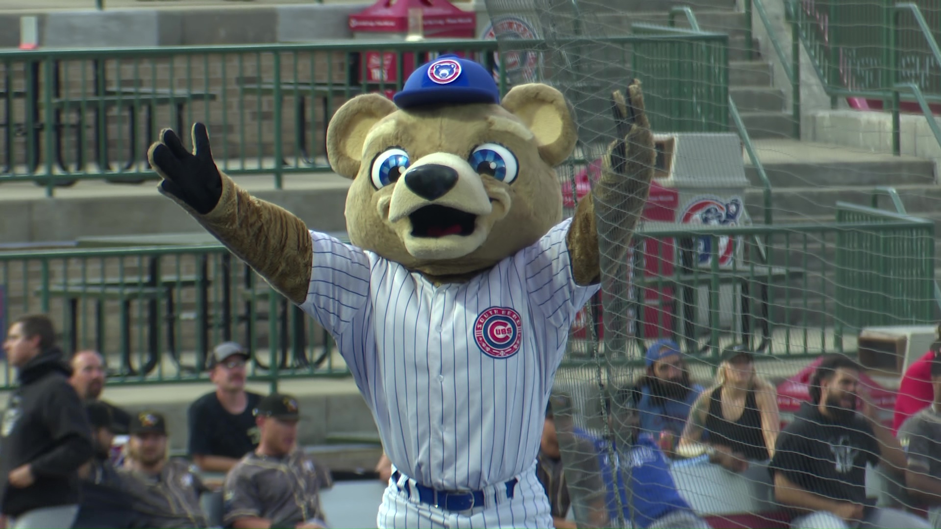 South Bend Cubs mascot name choice down to two