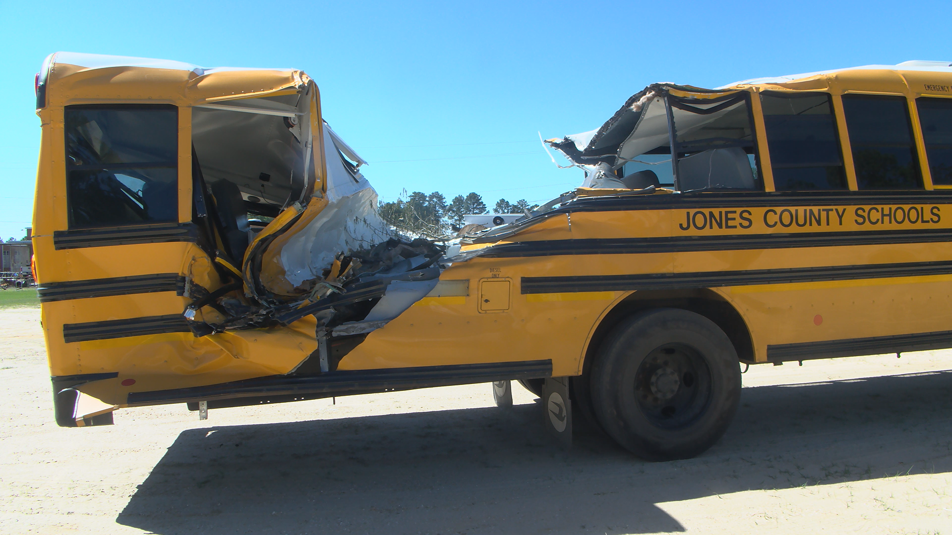 Fallen tree nearly splits school bus in half