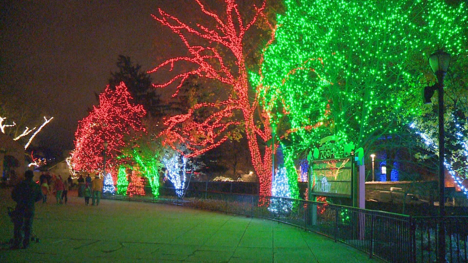 Toledo zoo lights before christmas