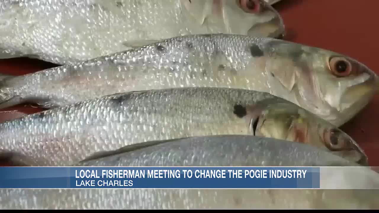 Group renews push for pogy regulations after La. fisheries