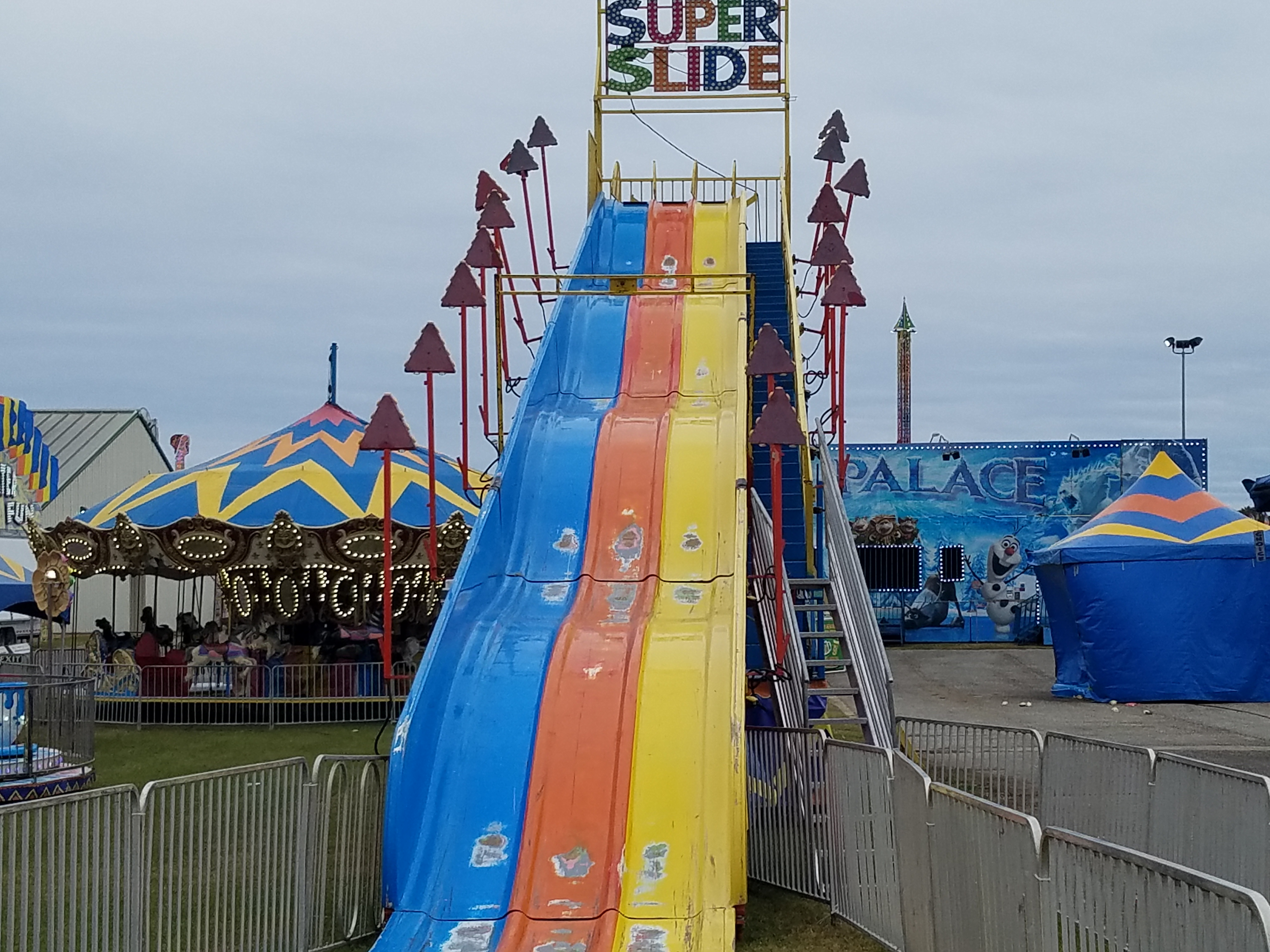 Sea lions make a splash at the National Peanut Festival