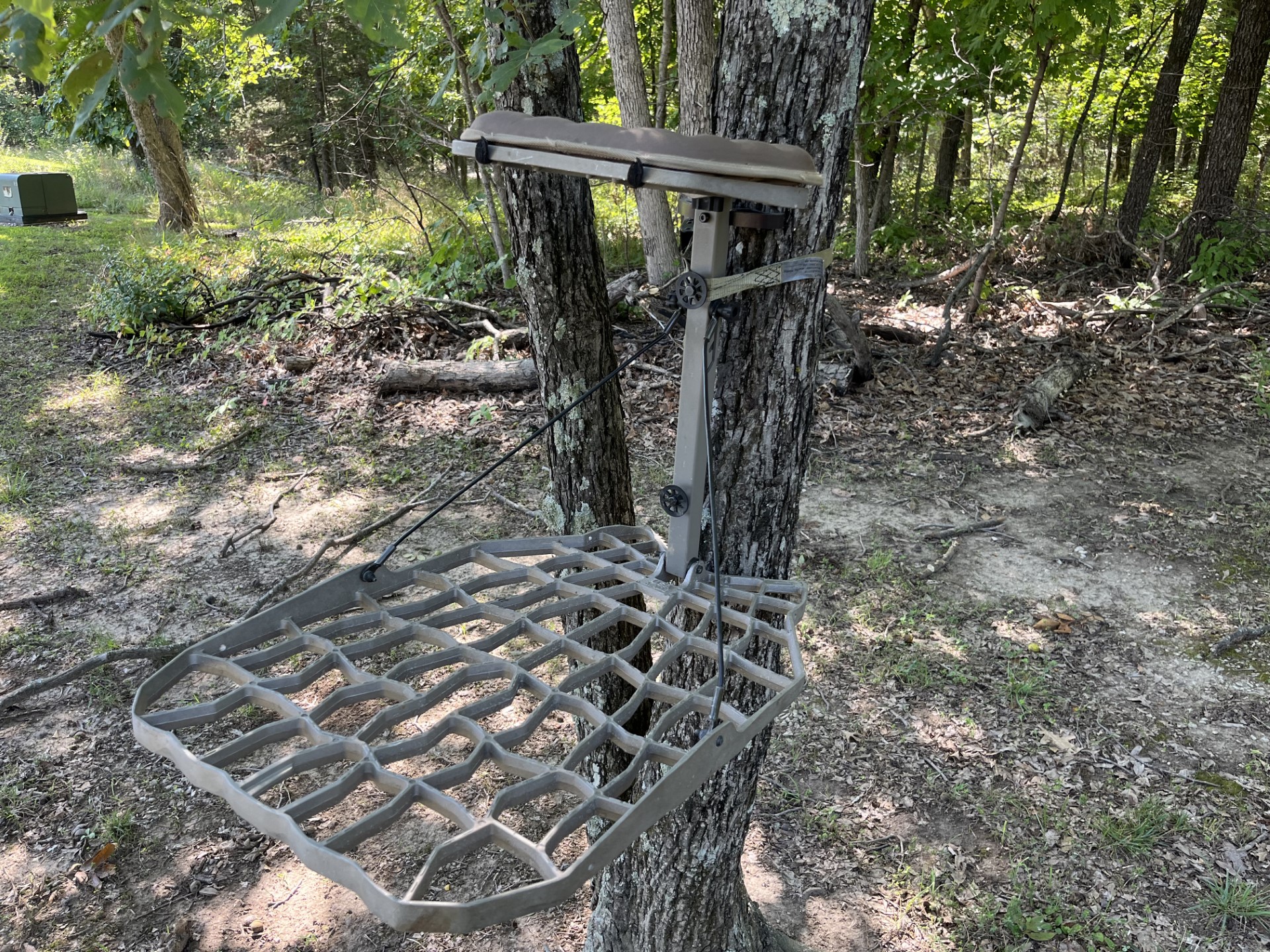 New rules for tree stands and trail cameras around Mark Twain Lake, image size:1920x1440