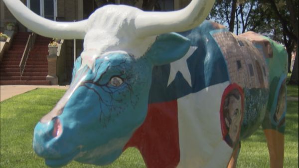 Painted cows bring unique flair to Plainview